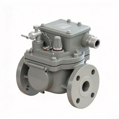 Flange connected single float gas relay Flange connected single float gas relay